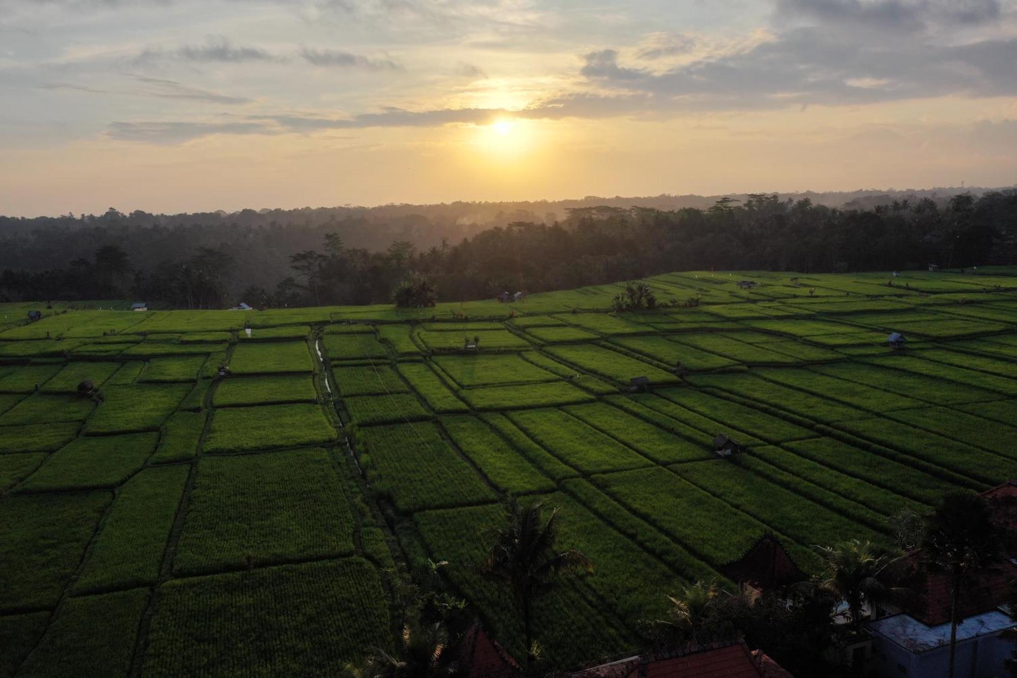 Umah Sunset Vila Ubud Exterior foto